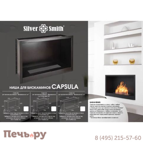 Биокамин Silver Smith Capsula Exclusive 1200 (ниша+топливный блок) фото 4