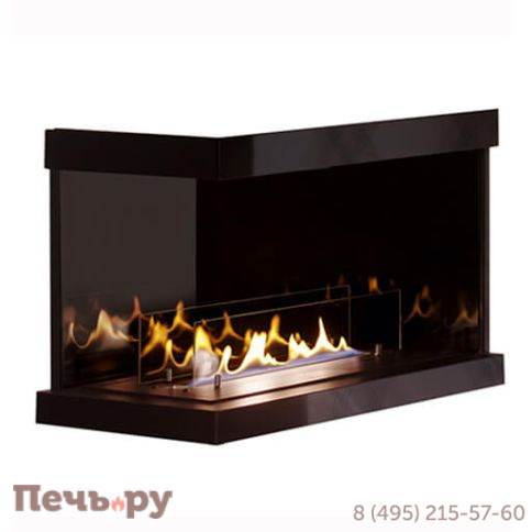 Биокамин Spartherm Ebios-Fire-2 стекла (автоматика) фото