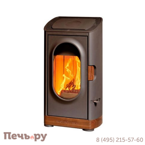 Печь камин Austroflamm Woody фото