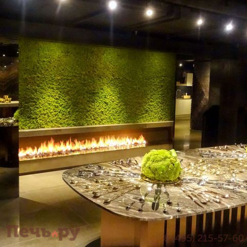 Встраиваемый биокамин SappFire 2200 фото 4