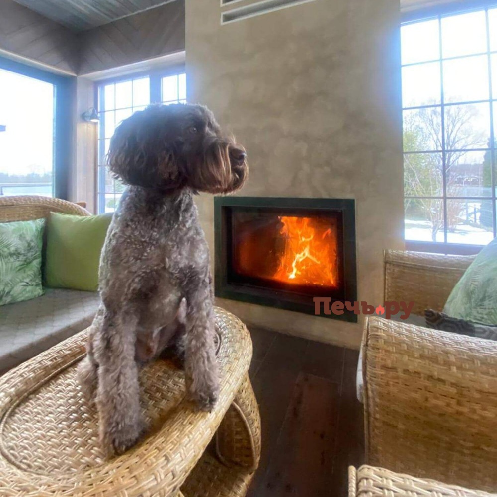 Каминная топка Астов ПС 800 видео